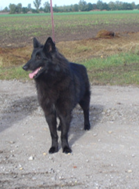 Fabienne of Royal Belgians